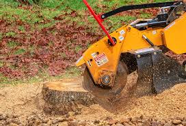 Best Tree Mulching  in Mcminnville, OR